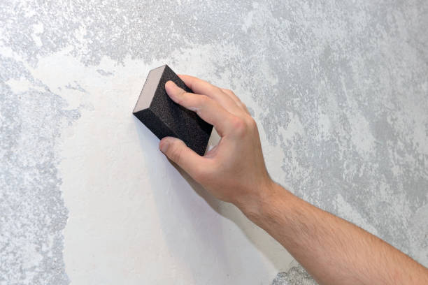 Best Attic Mold Removal  in Greenville, OH