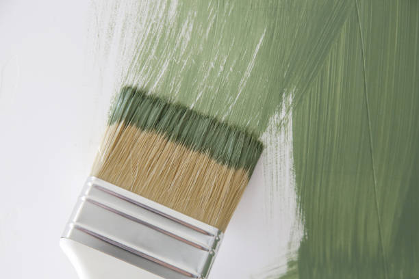Best Water Damage & Mold Remediation  in Greenville, OH