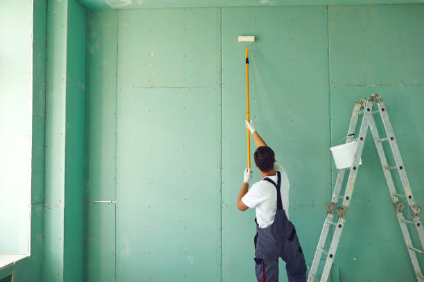Best Basement Mold Removal  in Greenville, OH