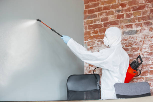 Trusted Greenville, OH Mold Removal Experts