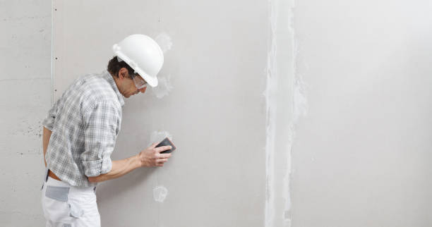 Best Mold Remediation for Healthcare Facilities  in Greenville, OH