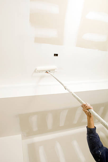 Best Post-Construction Mold Inspection  in Greenville, OH