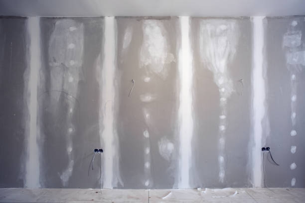Best Environmental Consulting for Mold Prevention  in Greenville, OH